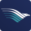 Airline Logo