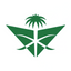 Airline Logo